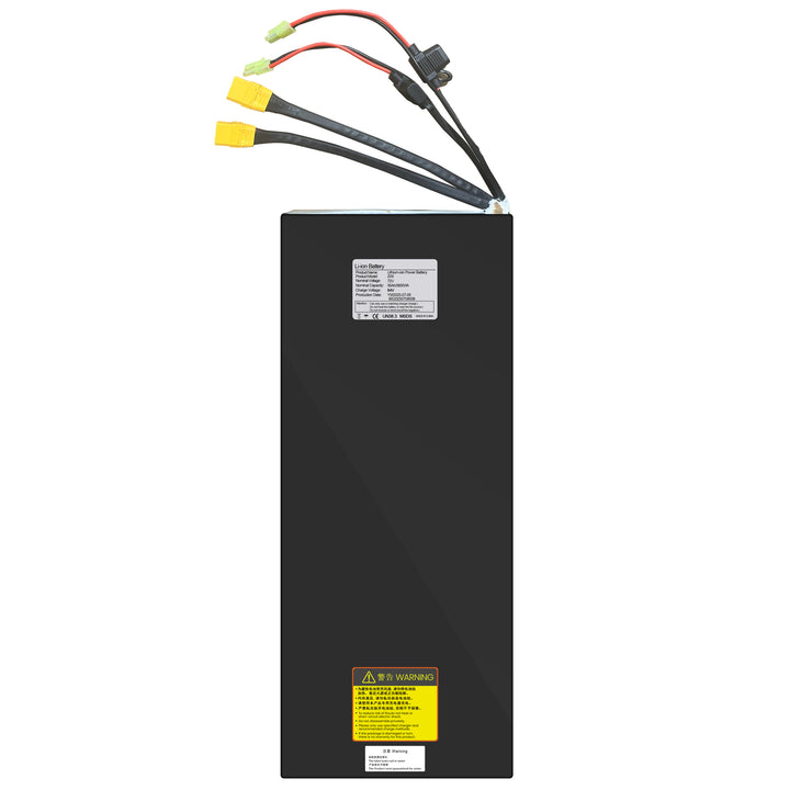 Predator de batterie 72V 50AH