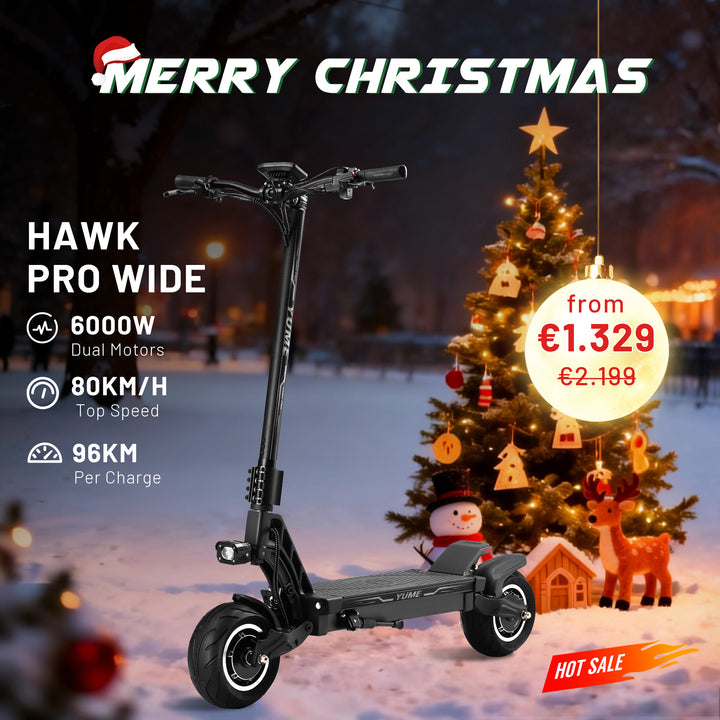 <tc>Hawk Pro</tc> Batterie large 60 V 27 Ah 30 Ah